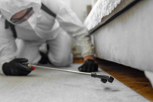 Professional Ant Control technician working in Woodlake, VA