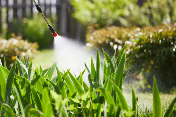 24/7 Emergency Mosquito Control experts in Woodlake, VA